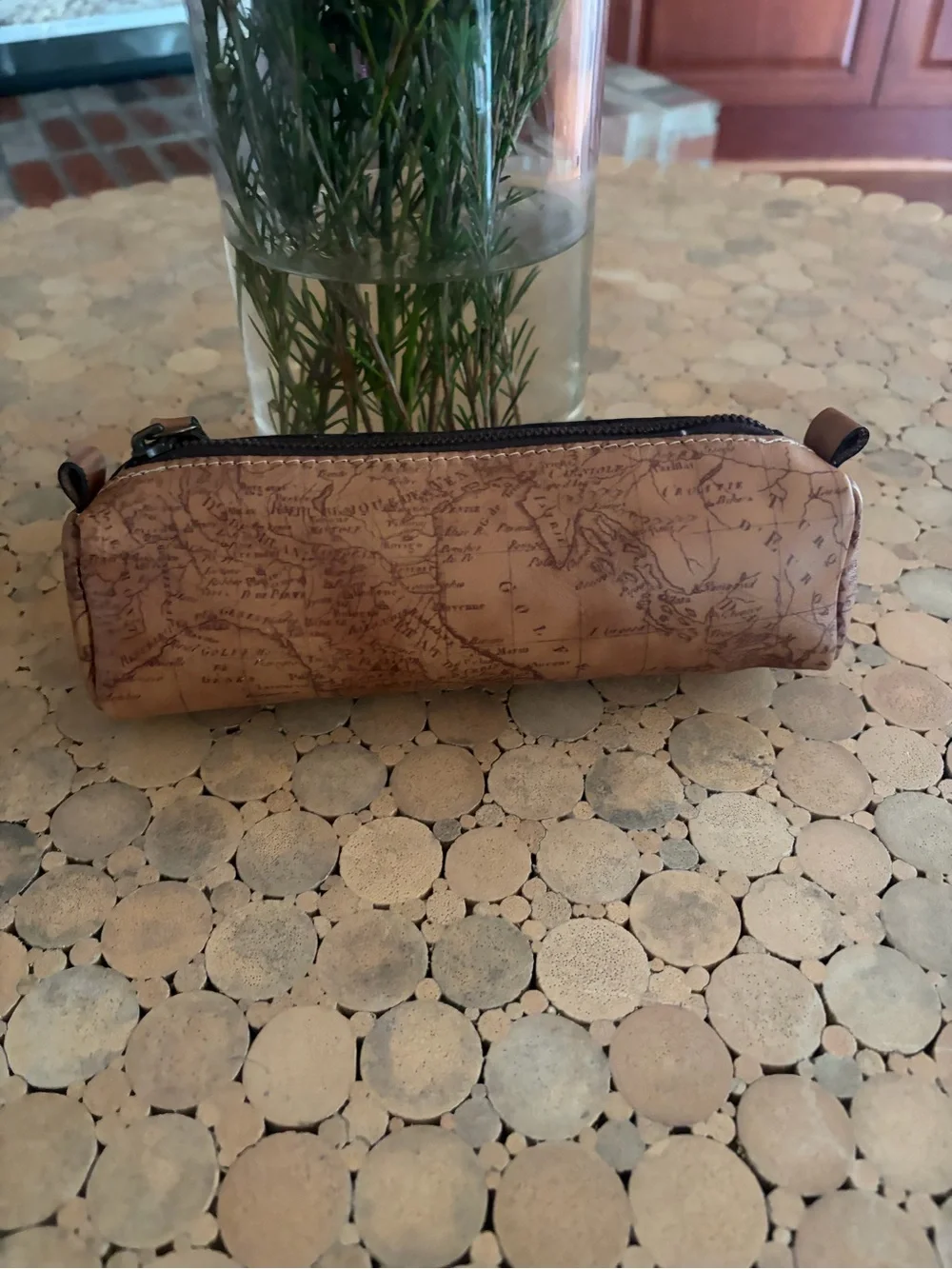 Patricia Nash Isla Oblong Leather Case on Map Print